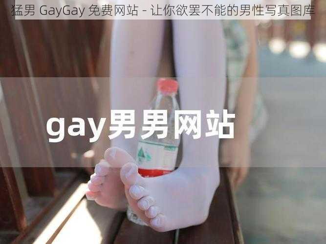 猛男 GayGay 免费网站 - 让你欲罢不能的男性写真图库