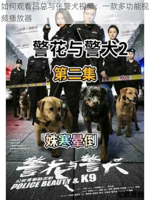 如何观看吕总与张警犬视频：一款多功能视频播放器