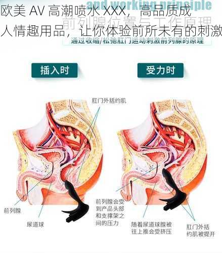 欧美 AV 高潮喷水 XXX，高品质成人情趣用品，让你体验前所未有的刺激