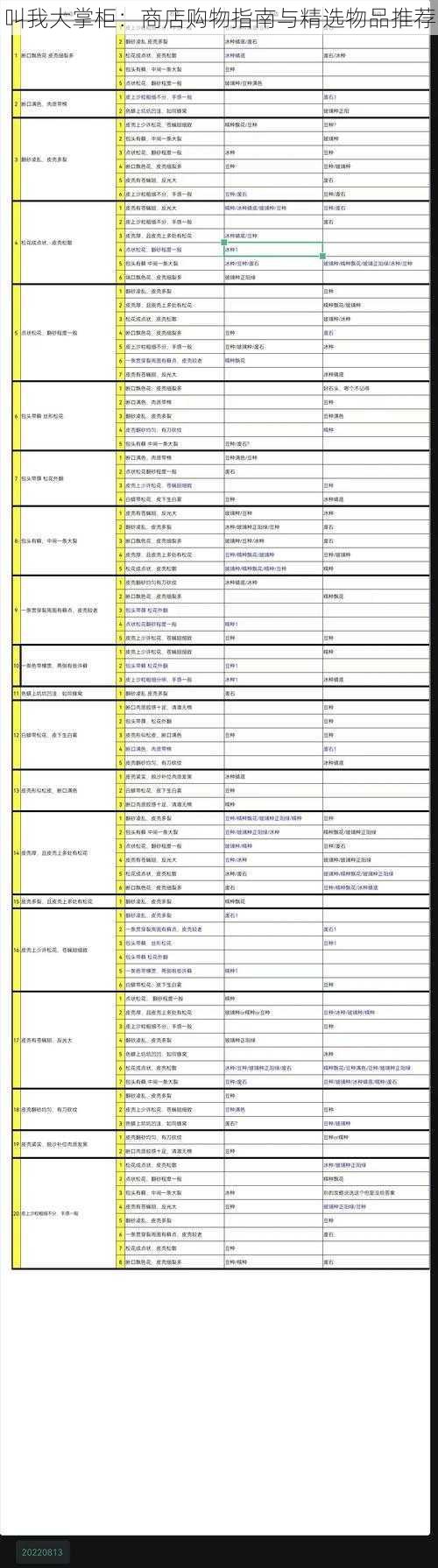 叫我大掌柜：商店购物指南与精选物品推荐