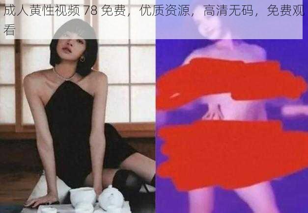 成人黄性视频 78 免费，优质资源，高清无码，免费观看