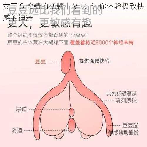 女王 S 榨精的视频丨ⅤK：让你体验极致快感的神器