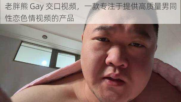 老胖熊 Gay 交口视频，一款专注于提供高质量男同性恋色情视频的产品