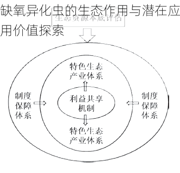 缺氧异化虫的生态作用与潜在应用价值探索