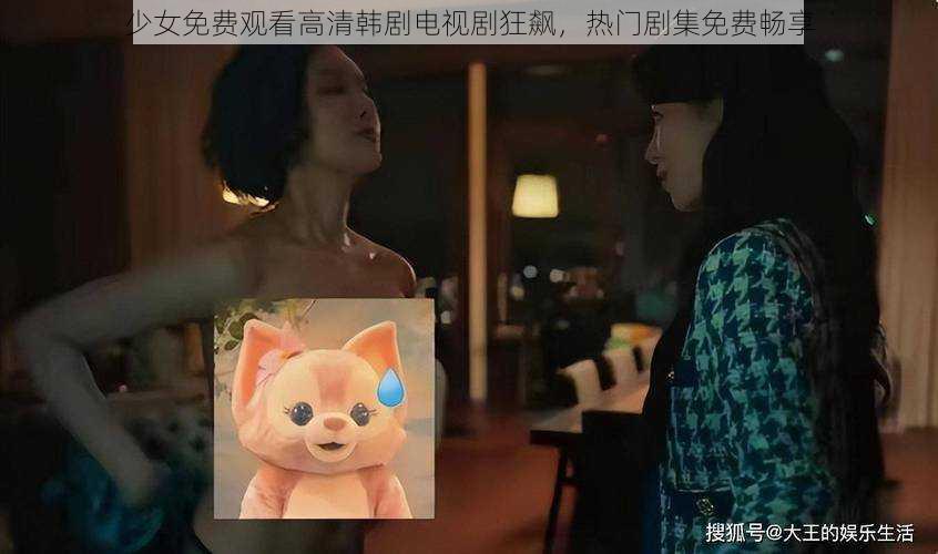 少女免费观看高清韩剧电视剧狂飙，热门剧集免费畅享