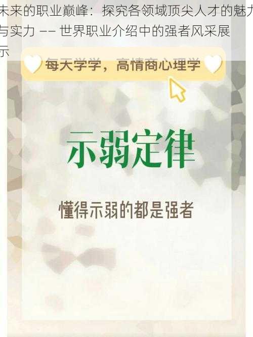 未来的职业巅峰：探究各领域顶尖人才的魅力与实力 —— 世界职业介绍中的强者风采展示