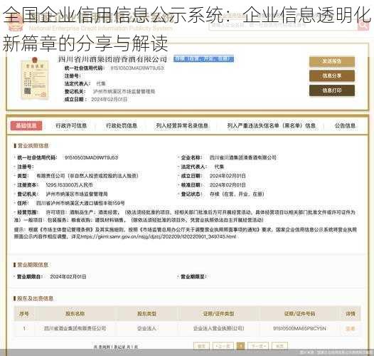 全国企业信用信息公示系统：企业信息透明化新篇章的分享与解读