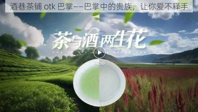 酒巷茶铺 otk 巴掌——巴掌中的贵族，让你爱不释手