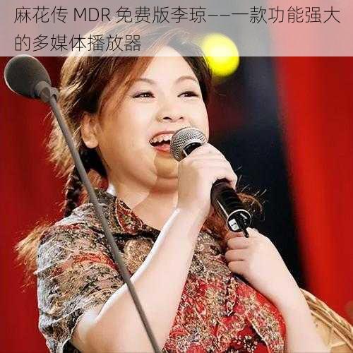 麻花传 MDR 免费版李琼——一款功能强大的多媒体播放器