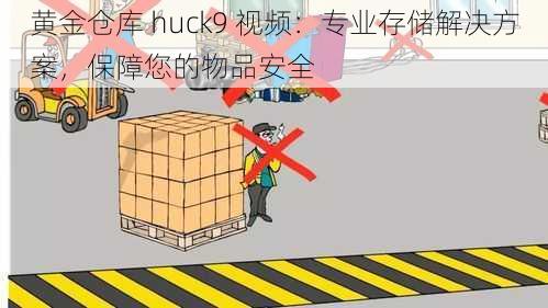 黄金仓库 huck9 视频：专业存储解决方案，保障您的物品安全