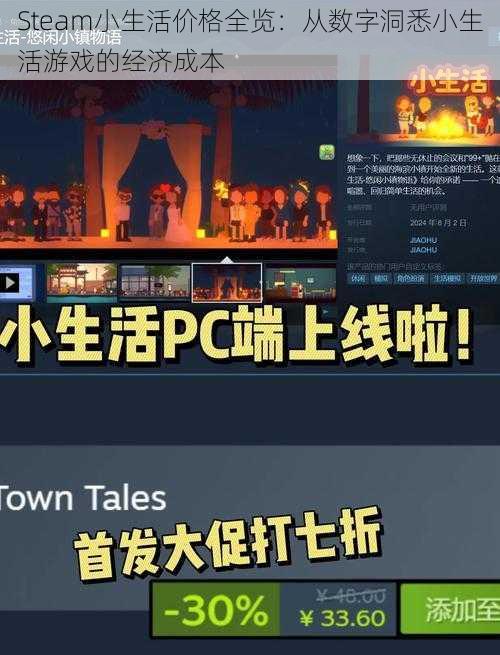 Steam小生活价格全览：从数字洞悉小生活游戏的经济成本