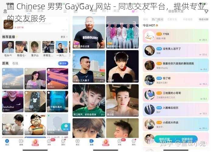 国 Chinese 男男 GayGay 网站 - 同志交友平台，提供专业的交友服务