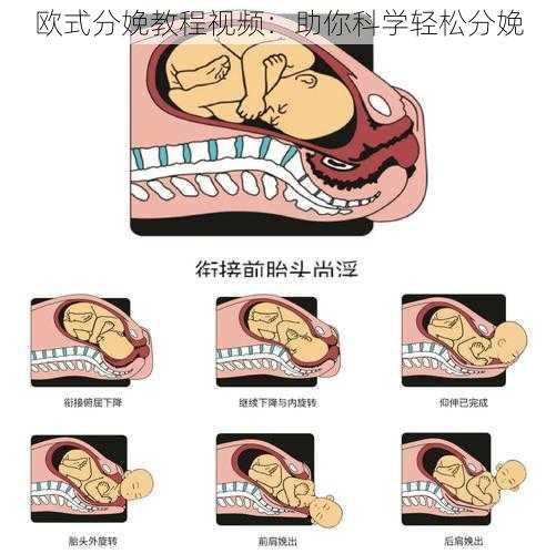 欧式分娩教程视频：助你科学轻松分娩