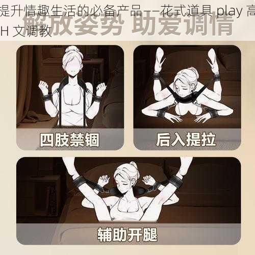 提升情趣生活的必备产品——花式道具 play 高 H 文调教