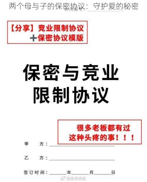 两个母与子的保密协议：守护爱的秘密