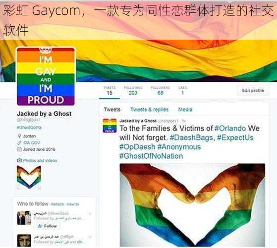 彩虹 Gaycom，一款专为同性恋群体打造的社交软件