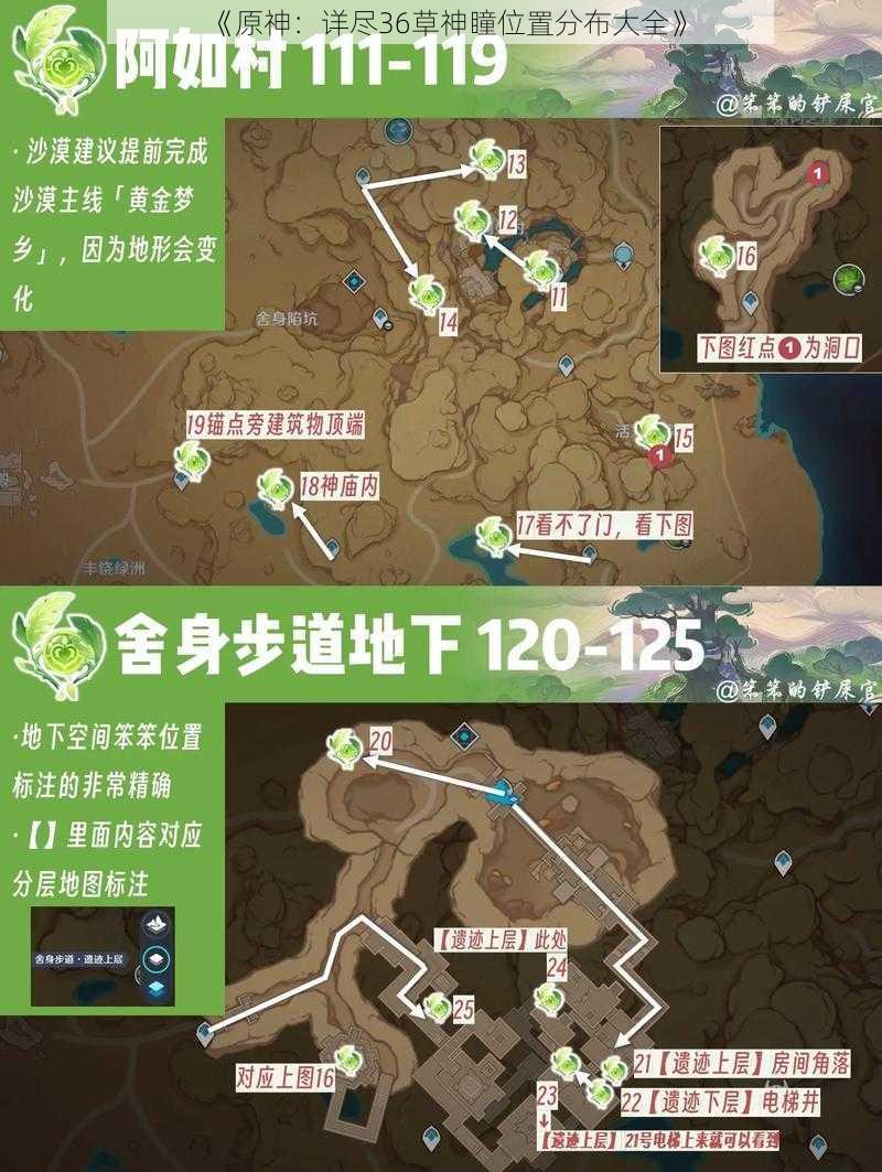 《原神：详尽36草神瞳位置分布大全》