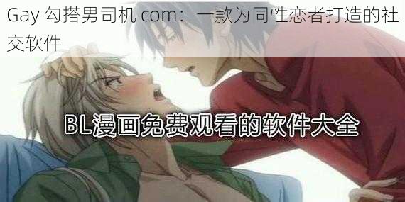 Gay 勾搭男司机 com：一款为同性恋者打造的社交软件