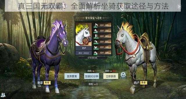 真三国无双霸：全面解析坐骑获取途径与方法