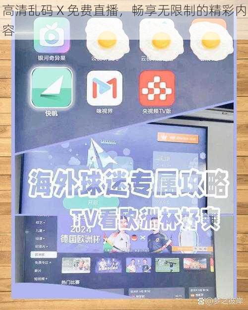 高清乱码 X 免费直播，畅享无限制的精彩内容