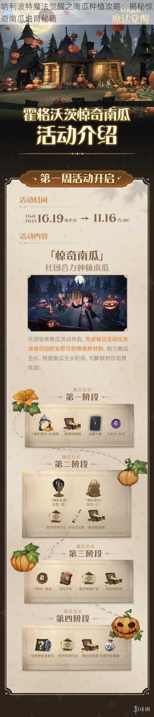 哈利波特魔法觉醒之南瓜种植攻略：揭秘惊奇南瓜培育秘籍