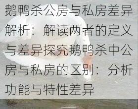 鹅鸭杀公房与私房差异解析：解读两者的定义与差异探究鹅鸭杀中公房与私房的区别：分析功能与特性差异