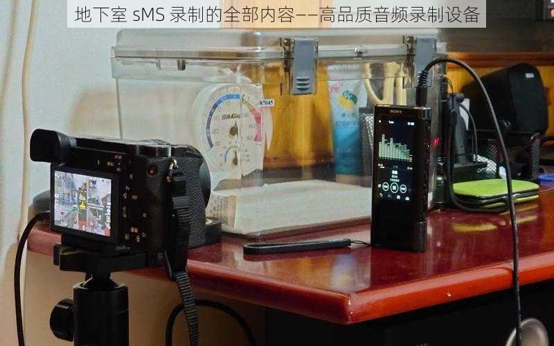 地下室 sMS 录制的全部内容——高品质音频录制设备