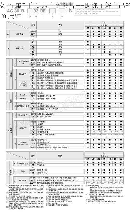 女 m 属性自测表自评图片——助你了解自己的 m 属性