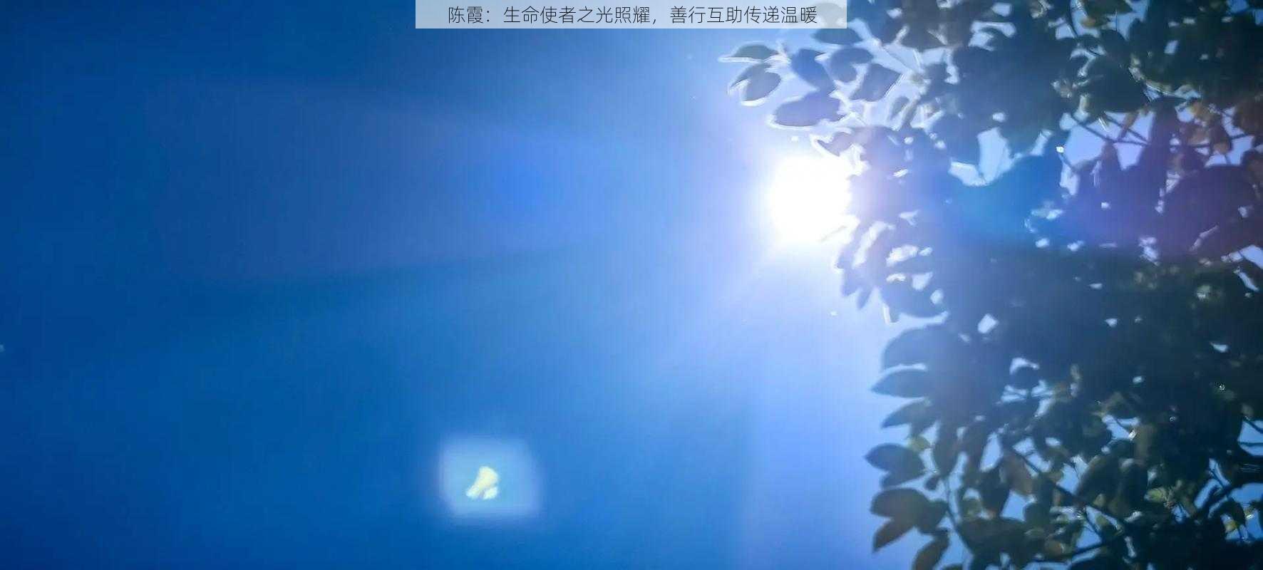 陈霞：生命使者之光照耀，善行互助传递温暖