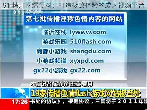 91 精产网爆黑料：打造极致体验的成人视频平台