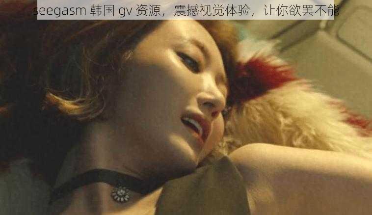 seegasm 韩国 gv 资源，震撼视觉体验，让你欲罢不能