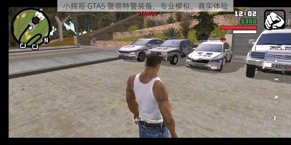 小辉哥 GTA5 警察特警装备，专业模拟，真实体验