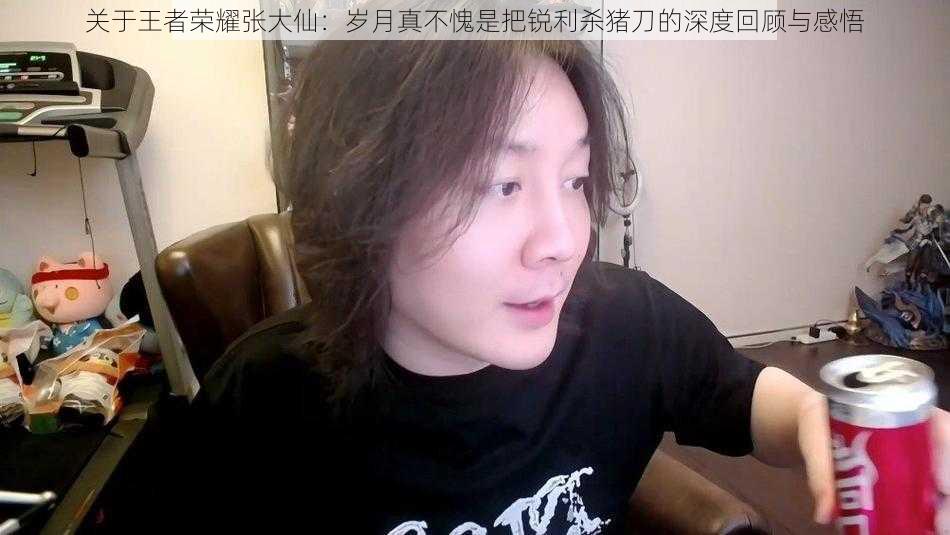 关于王者荣耀张大仙：岁月真不愧是把锐利杀猪刀的深度回顾与感悟