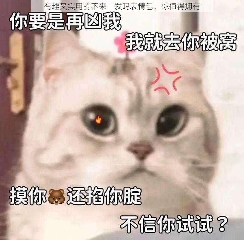 有趣又实用的不来一发吗表情包，你值得拥有