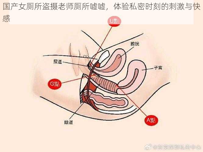 国产女厕所盗摄老师厕所嘘嘘，体验私密时刻的刺激与快感