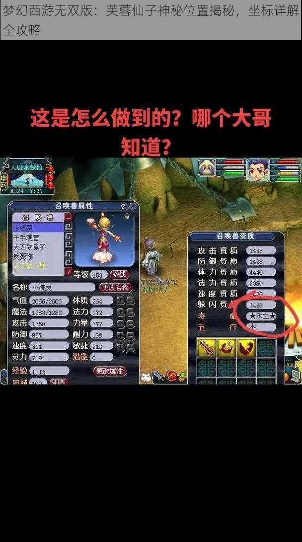 梦幻西游无双版：芙蓉仙子神秘位置揭秘，坐标详解全攻略