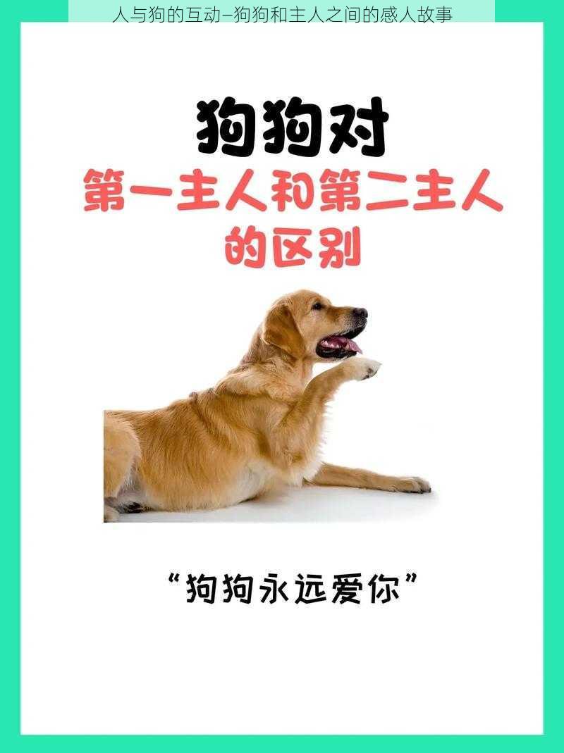 人与狗的互动—狗狗和主人之间的感人故事