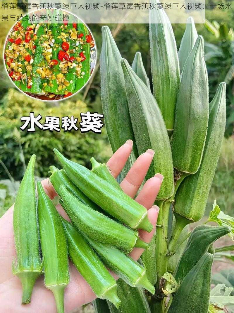 榴莲草莓香蕉秋葵绿巨人视频-榴莲草莓香蕉秋葵绿巨人视频：一场水果与蔬菜的奇妙碰撞