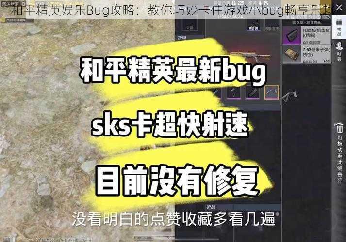 和平精英娱乐Bug攻略：教你巧妙卡住游戏小bug畅享乐趣