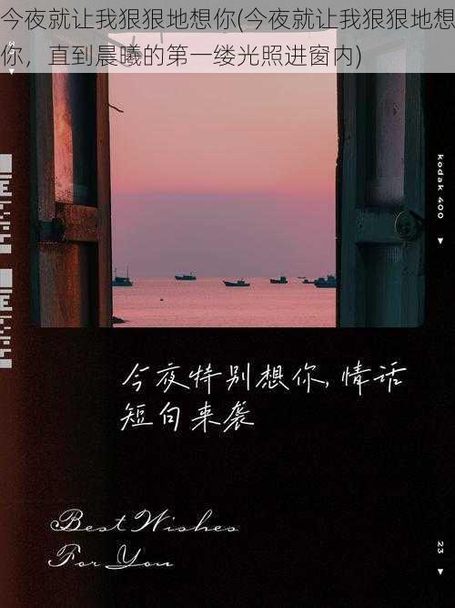 今夜就让我狠狠地想你(今夜就让我狠狠地想你，直到晨曦的第一缕光照进窗内)