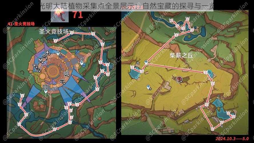 光明大陆植物采集点全景展示：自然宝藏的探寻与一览