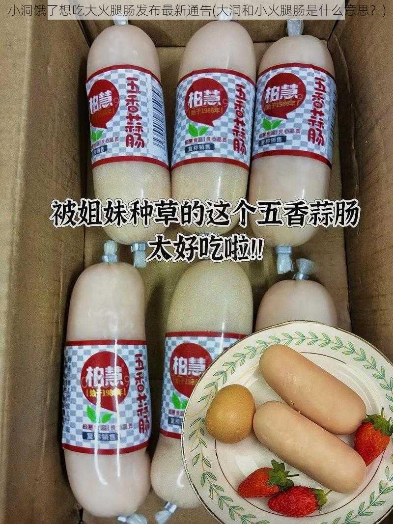 小洞饿了想吃大火腿肠发布最新通告(大洞和小火腿肠是什么意思？)