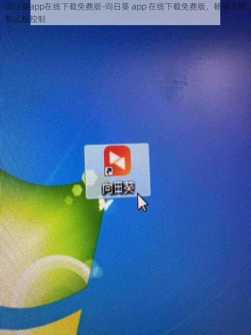 向日葵app在线下载免费版-向日葵 app 在线下载免费版，畅享无限制远程控制