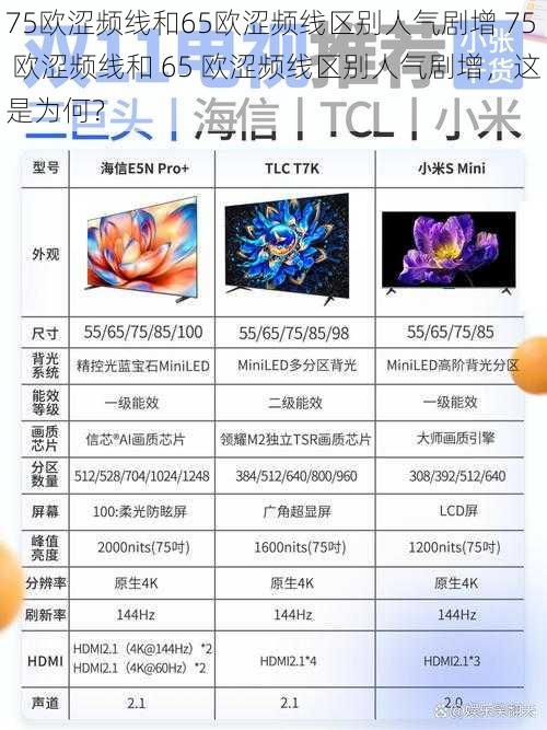 75欧涩频线和65欧涩频线区别人气剧增 75 欧涩频线和 65 欧涩频线区别人气剧增，这是为何？