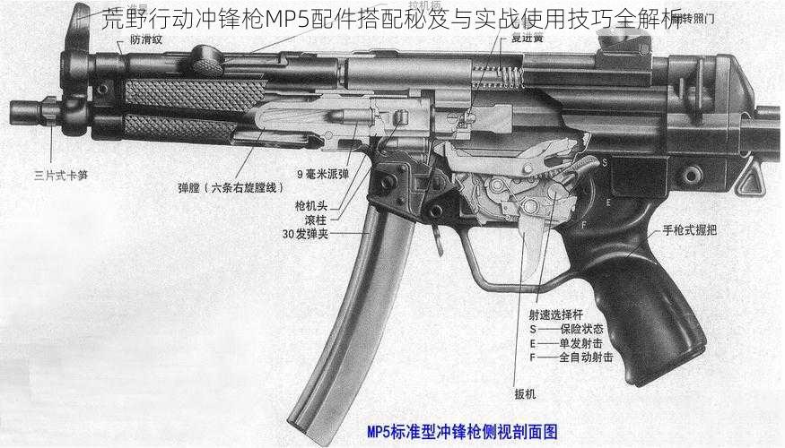 荒野行动冲锋枪MP5配件搭配秘笈与实战使用技巧全解析