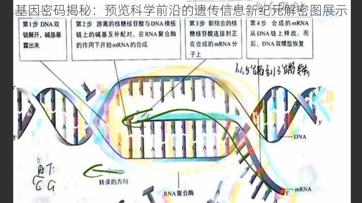 基因密码揭秘：预览科学前沿的遗传信息新纪元解密图展示