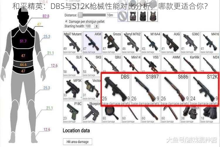 和平精英：DBS与S12K枪械性能对比分析，哪款更适合你？