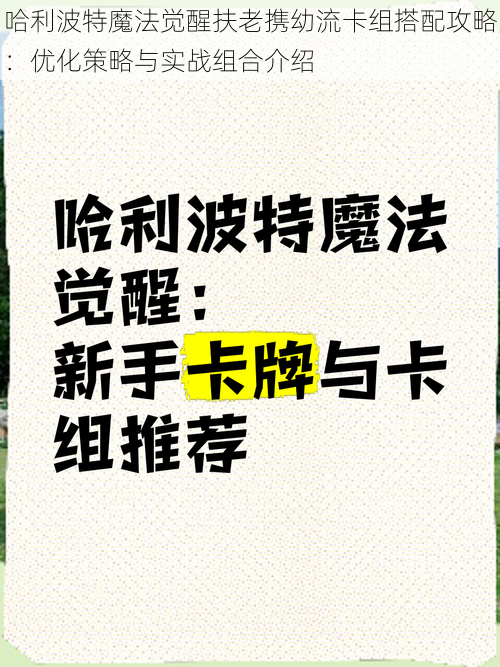 哈利波特魔法觉醒扶老携幼流卡组搭配攻略：优化策略与实战组合介绍