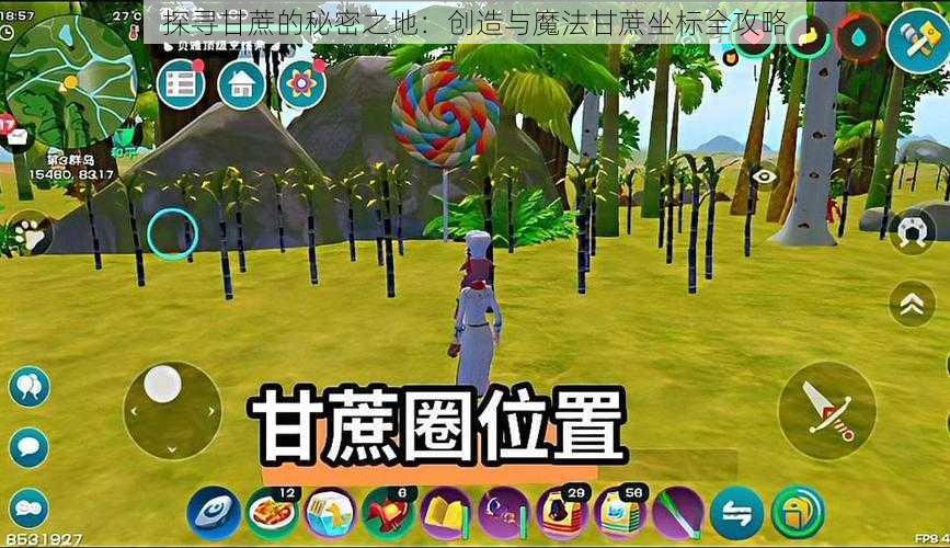 探寻甘蔗的秘密之地：创造与魔法甘蔗坐标全攻略