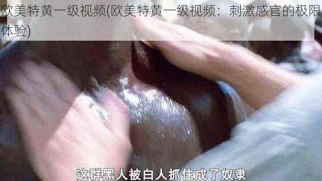 欧美特黄一级视频(欧美特黄一级视频：刺激感官的极限体验)